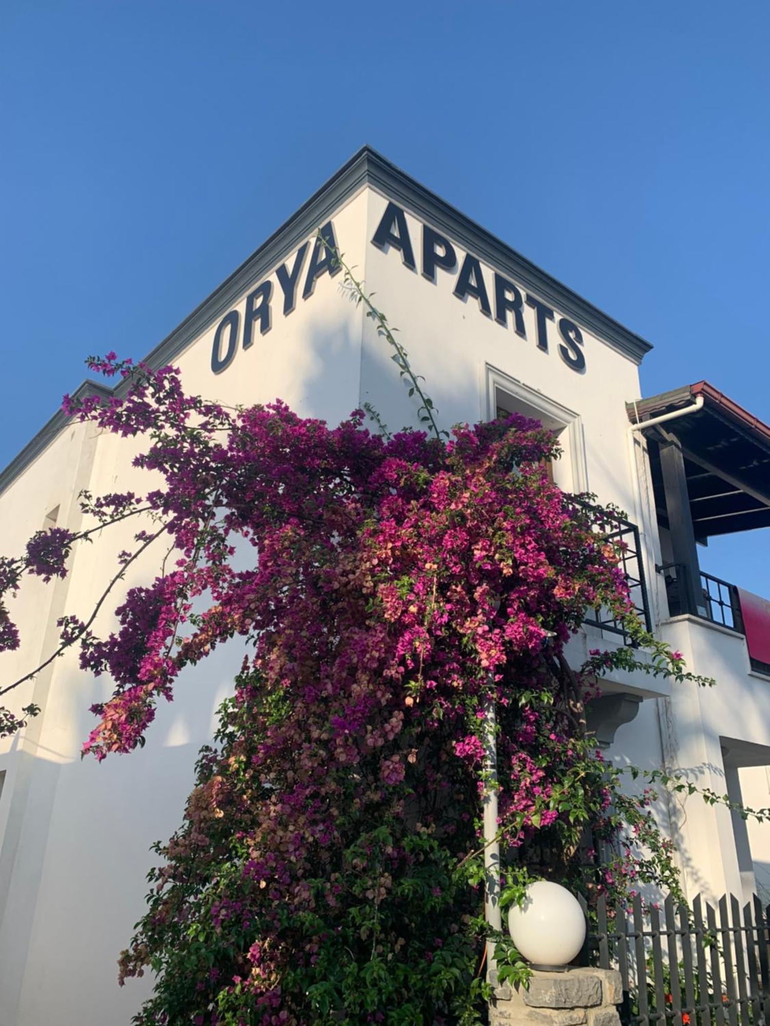 Orya Aparts Gümbet Buitenkant foto